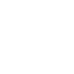 Globe icon