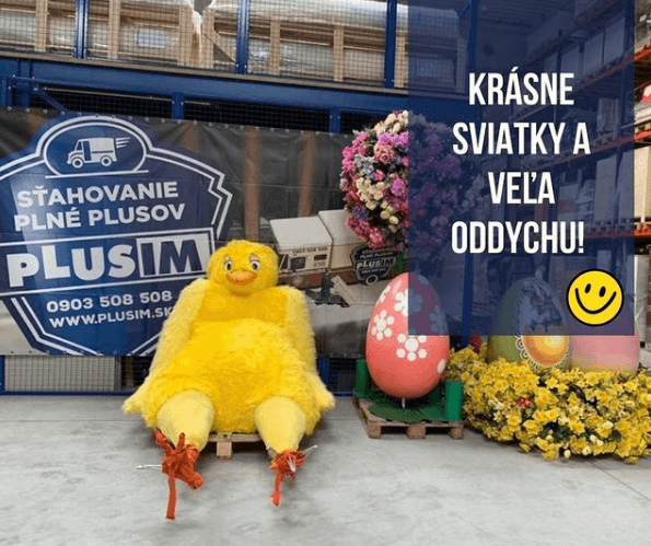 Image from PLUSIM Instagram