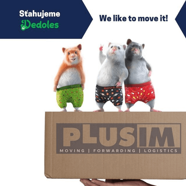 Image from PLUSIM Instagram